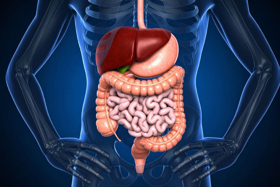 Αχαλασία Οισοφάγου